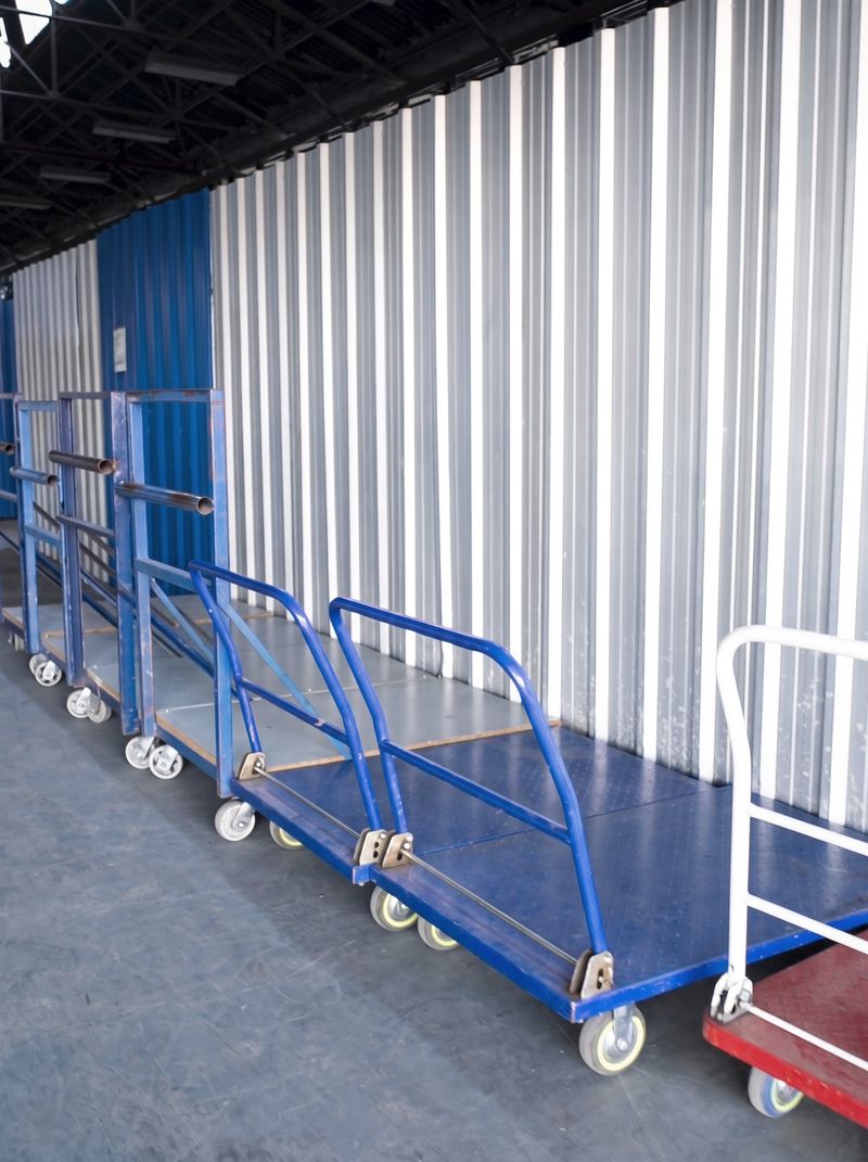 Carros para mover tus cosas